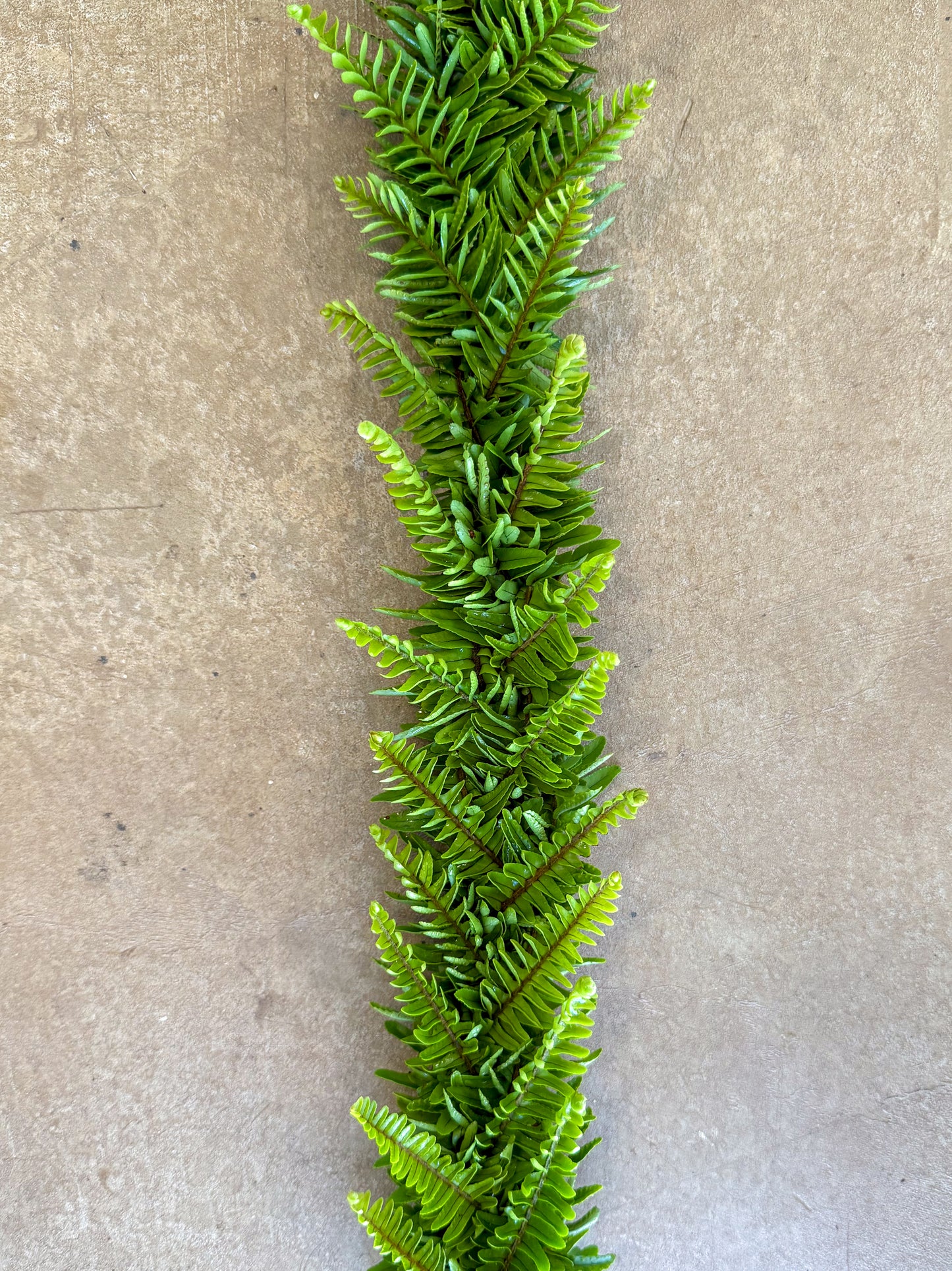 Lei Hili Workshop with Kaleipuupuu 8/23/25