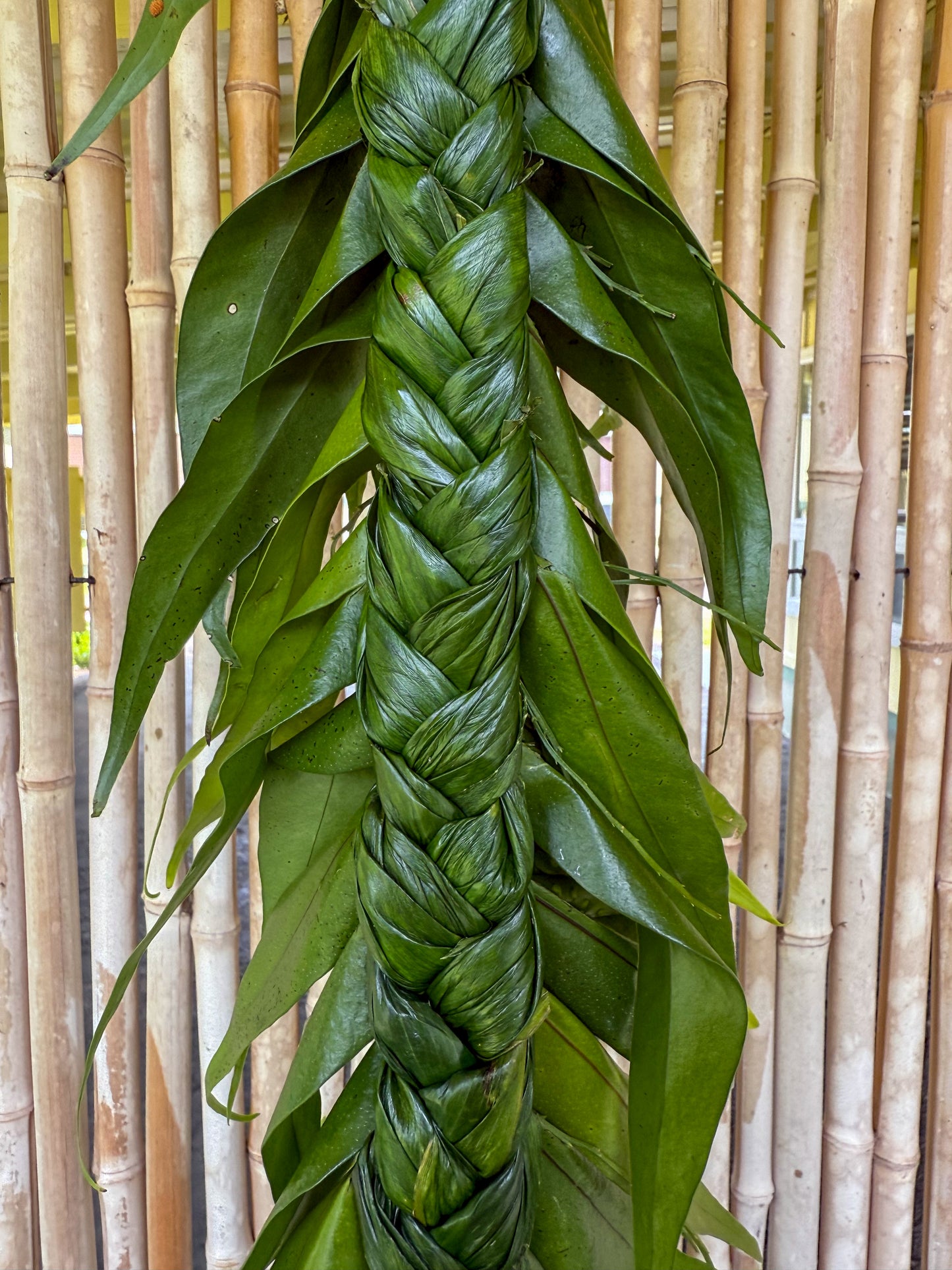 Lei Haku Workshop with Kaleipuupuu 10/12