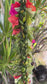 Lei Haku Workshop with Kaleipuupuu 10/12